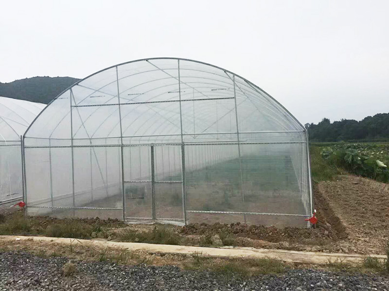 马鞍山市薄膜大棚苗床 - 方案